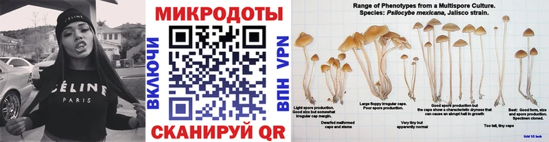 Галлюциногенные грибы Psilocybe  сколько стоит  мориарти состав  Унеча 