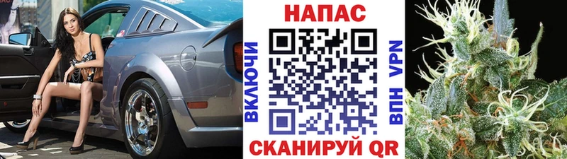 Каннабис сатива МЕГА tor Унеча